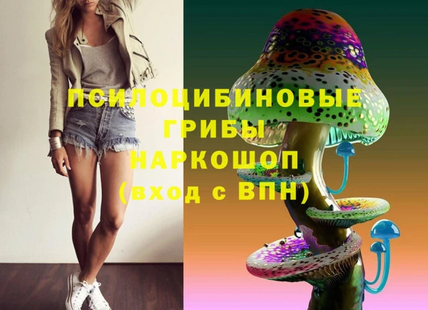 тгк Алексин